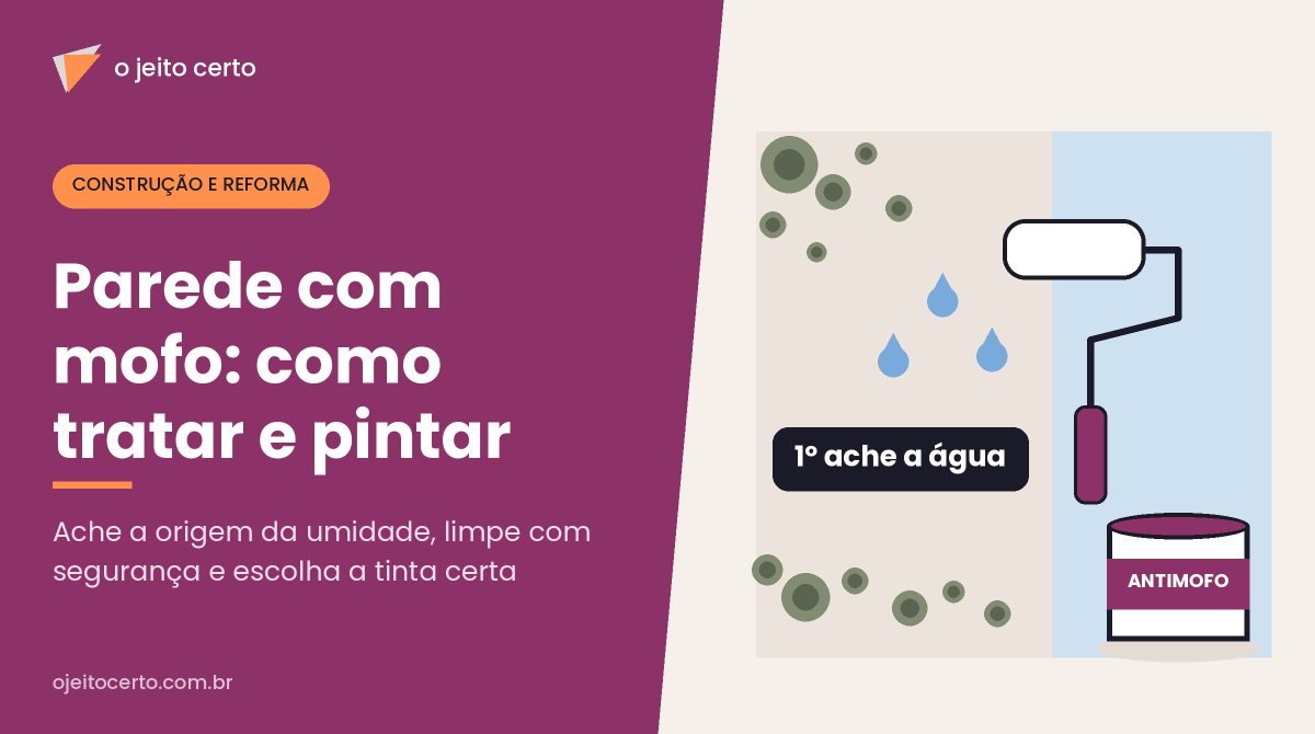 Parede com mofo e umidade: como tratar antes de pintar e qual tinta usar